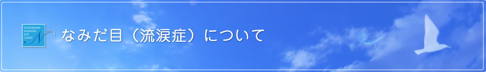 なみだ目(流涙症)について